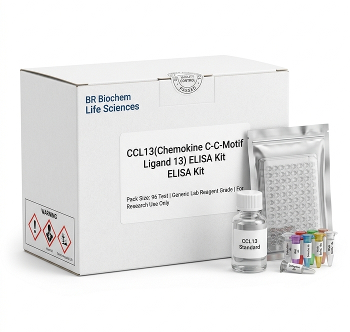 Human CCL13 ELISA Kit 96 Test BC8766