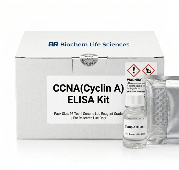 BC5465 Human Cyclin A ELISA Kit 96 Test
