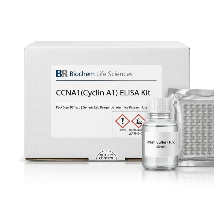 BC4081 Human CCNA1 ELISA Kit 96 Test