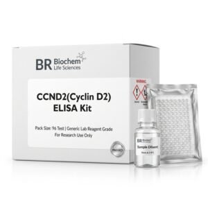 BC1489 Human CCND2 ELISA Kit 96 Tests