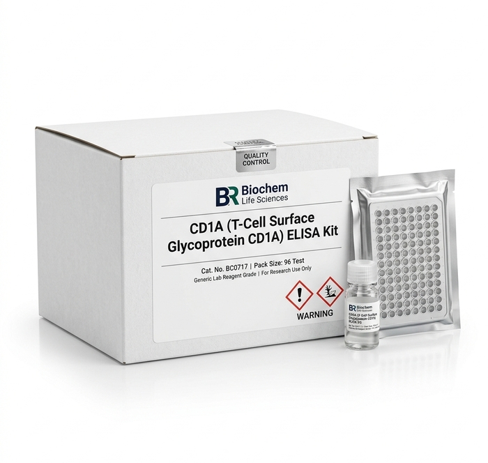CD1A ELISA Kit BC0717 T-Cell Surface Glycoprotein