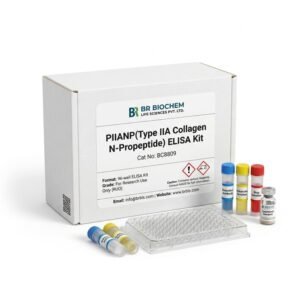PIIANP ELISA Kit BC8809 Human Rat 96 Test