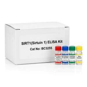 SIRT1 ELISA Kit BC3255 Human Rat Mouse 96 Tests
