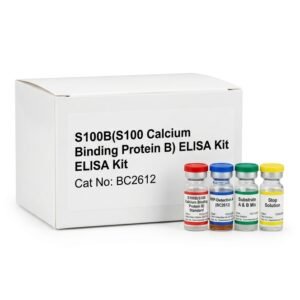 S100B ELISA Kit 96 Test - High Sensitivity Assay
