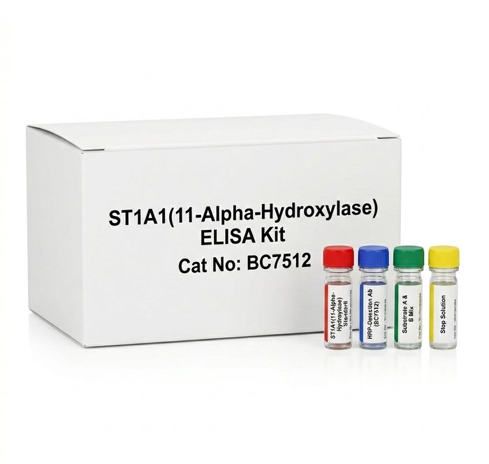 Mouse 17-Alpha-Hydroxylase (S17aH) ELISA Kit 96 Tests