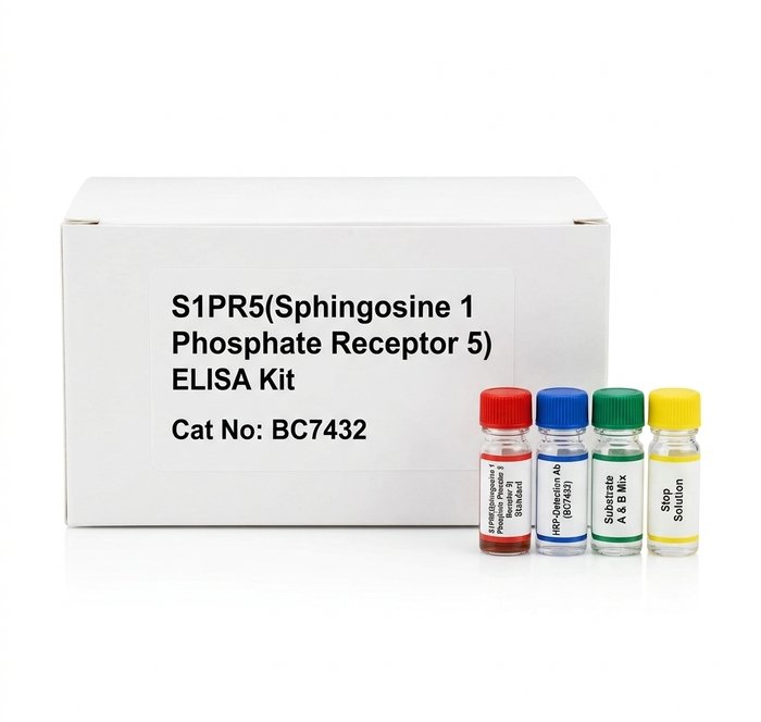 Mouse S1PR5 ELISA Kit 96 Tests BC7432