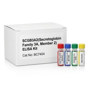 Rat SCGB3A2 ELISA Kit BC7404 96 Test