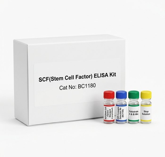 BC1180 SCF ELISA Kit 96 Test Human Rat Mouse Cattle