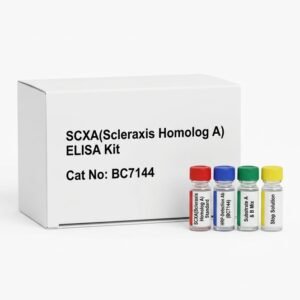 SCXA ELISA Kit BC7144 Human and Rat Research Assay