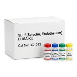 SELE Selectin Endothelium ELISA Kit 96 Test BC1013