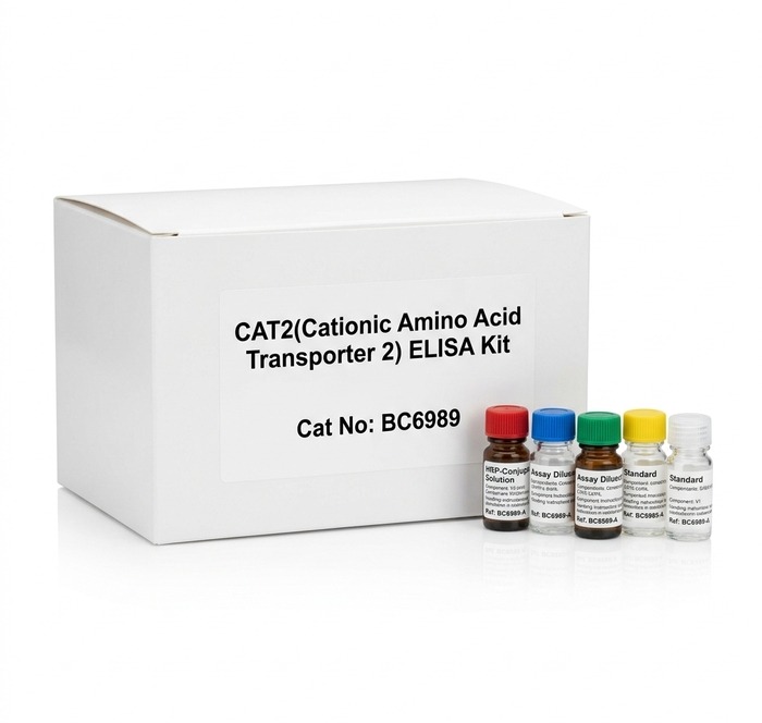 BC6989 CAT2 Cationic Amino Acid Transporter 2 ELISA Kit