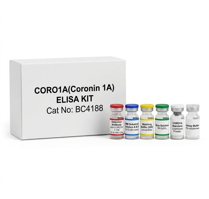 CORO1A Coronin 1A ELISA Kit 96 Tests Human Rat