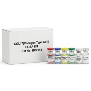 BC2988 COL17 Collagen Type XVII Human ELISA Kit 96 Tests