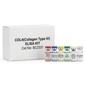 COL4 Collagen Type IV ELISA Kit - 96 Test Assay