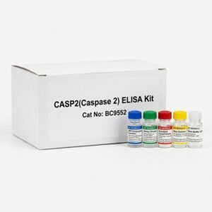 Rat CASP2 Caspase 2 ELISA Kit 96 Tests BC9552