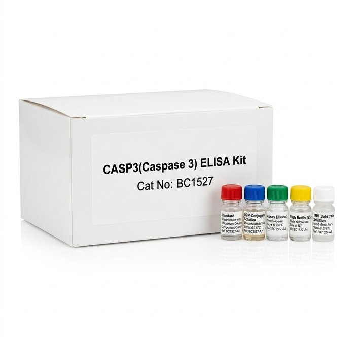 BC1527 CASP3 Caspase 3 ELISA Kit 96 Test