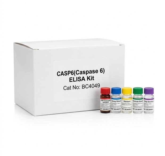 CASP6 Caspase 6 ELISA Kit Human Rat 96 Test BC4049