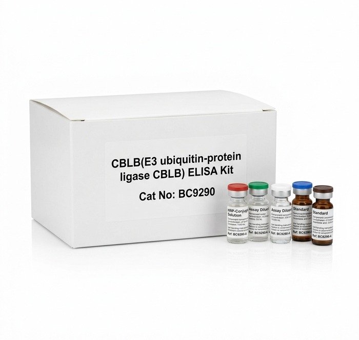 Mouse CBLB ELISA Kit 96 Tests