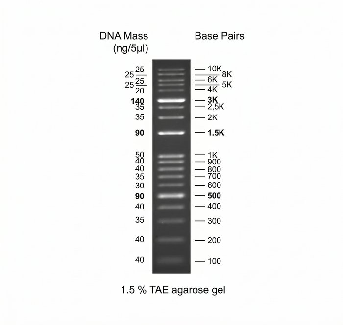 Molecular Biology Markers