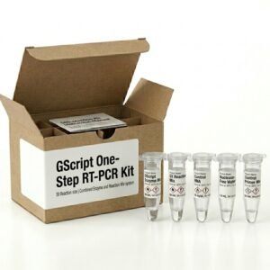 GScript One-Step RT-PCR Kit 50 Reactions BCMB306-0050