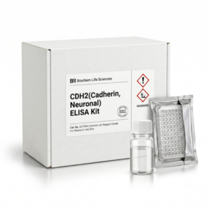 BC1994 CDH2 Neuronal Cadherin ELISA Kit 96 Test
