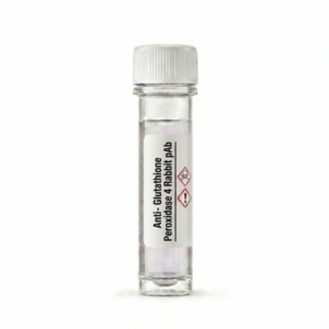 Anti-Glutathione Peroxidase 4 Rabbit pAb (BC114327)
