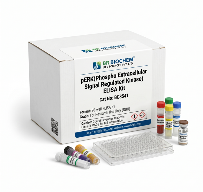 pERK ELISA Kit BC8541 Human Rat 96 Test