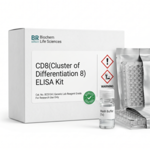 BC5104 CD8 ELISA Kit - Human, Rat, Mouse