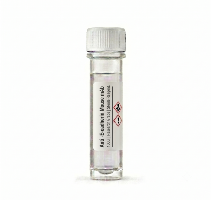 Anti-E-cadherin Mouse mAb (BC12082) 100ul
