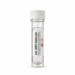 Anti-BMP2 Rabbit Polyclonal Antibody 100ul BC11252
