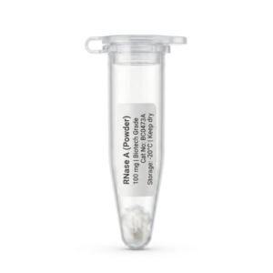 RNase A 100 mg - High Purity Molecular Biology Grade