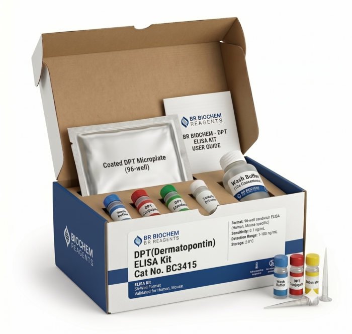 Dermatopontin DPT ELISA Kit 96 Tests