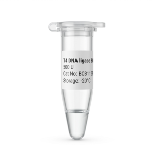 T4 DNA Ligase 500U - High Efficiency Enzyme for Cloning