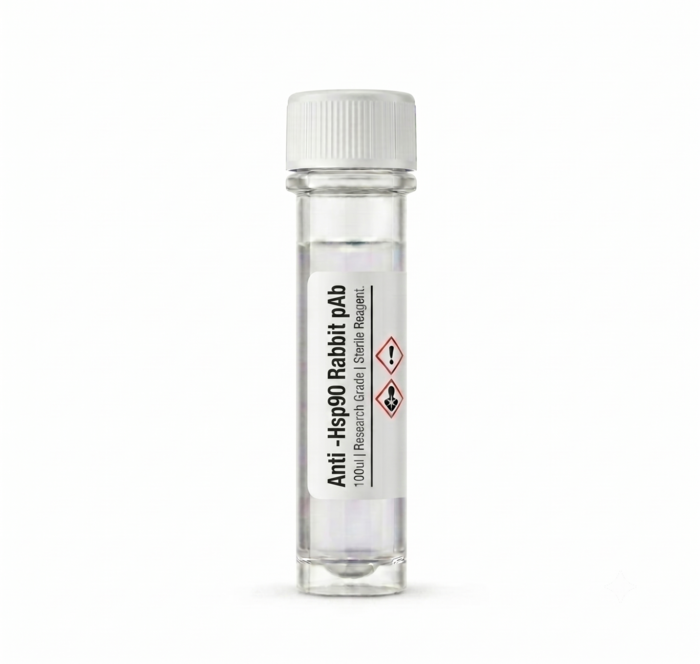 Anti-Hsp90 Rabbit Polyclonal Antibody 100ul BC11284-1