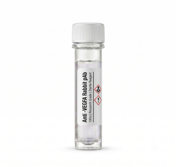 Anti-VEGFA Rabbit Polyclonal Antibody 100ul BC11034B