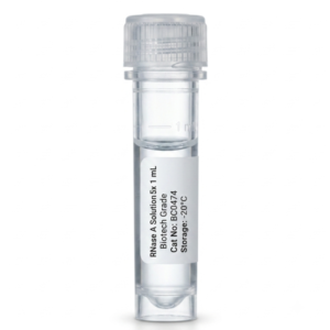RNase A Solution 10 mg/mL - 5x1mL Pack
