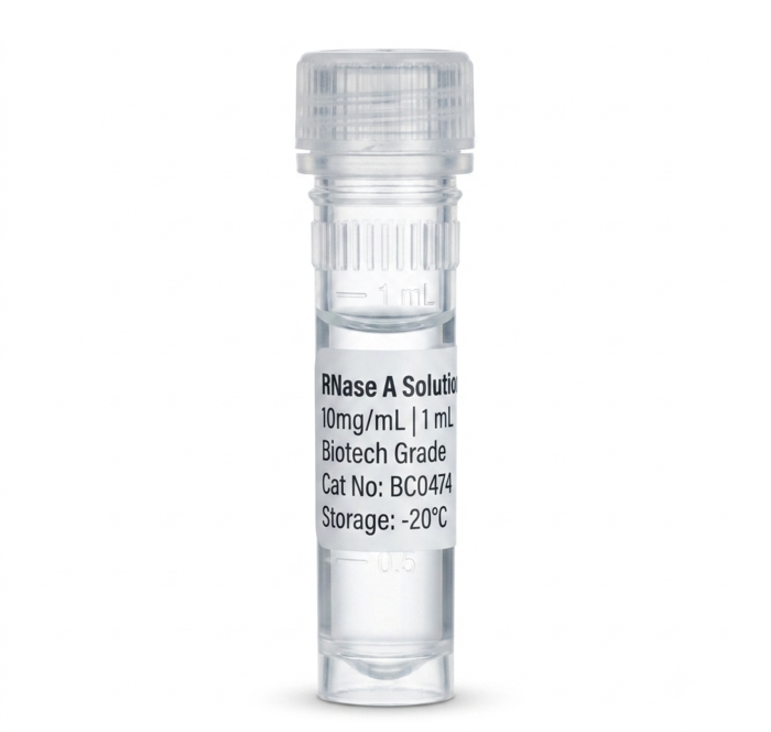 RNase A Solution 10 mg/mL (1 mL) - High Purity Enzyme