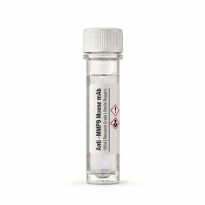 BC12132 Anti-MMP9 Mouse Monoclonal Antibody 100ul