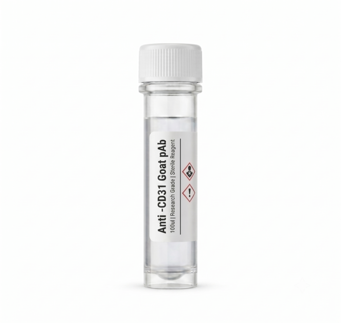 Anti-CD31 Goat Polyclonal Antibody 100ul BC13063