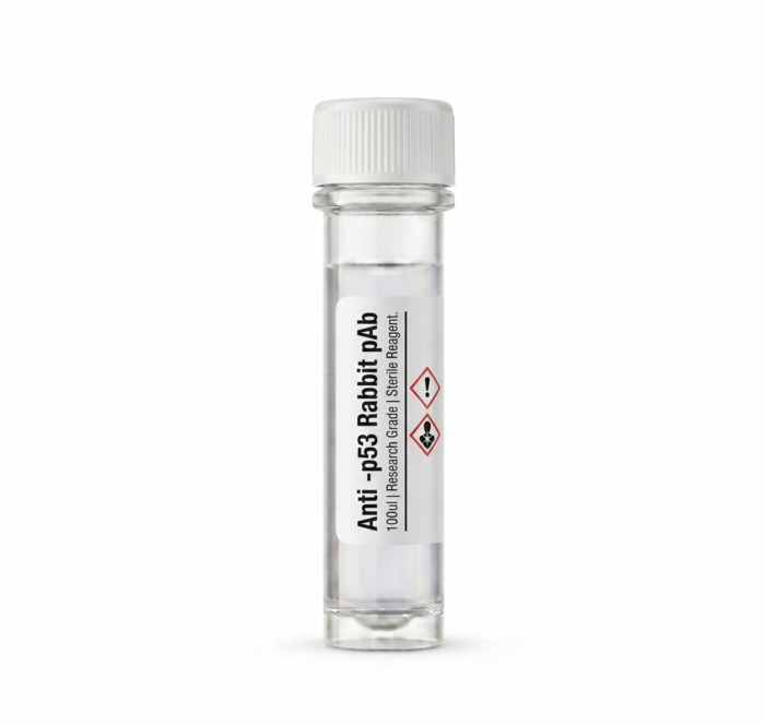 Anti-p53 Rabbit Polyclonal Antibody 100ul BC111740