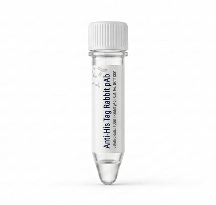 Anti-His Tag Rabbit Polyclonal Antibody - 100ul