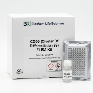 BC2859 CD99 ELISA Kit Human Mouse 96 Tests