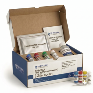 DNMT3A ELISA Kit - High Sensitivity Assay (96 Test)