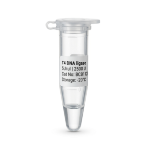 T4 DNA Ligase 5U/ul 2500U High-Efficiency Enzyme