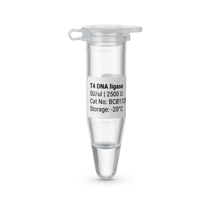 T4 DNA Ligase 5U/ul 2500U High-Efficiency Enzyme