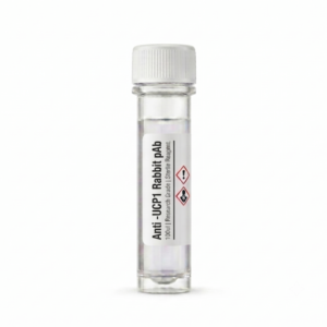 Anti-UCP1 Rabbit Polyclonal Antibody 100ul BC112174