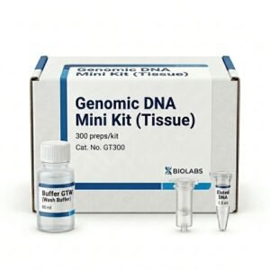 GT300 Genomic DNA Mini Kit Tissue 300 Preps