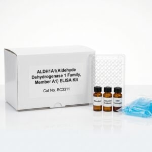 ALDH1A1 ELISA Kit BC3311 96 Tests