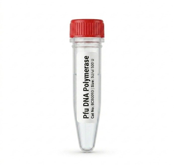 Pfu DNA Polymerase 500 U - BCB0093 High Fidelity Enzyme