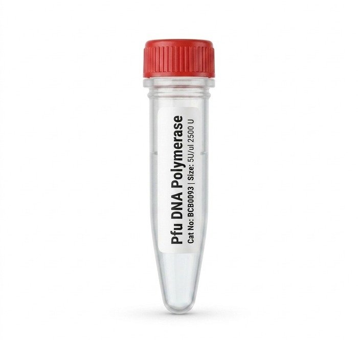 Pfu DNA Polymerase 2500 U - High Fidelity Enzyme BCB0093